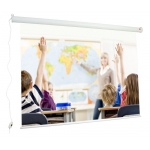 AVTek Ekran Video Education 240